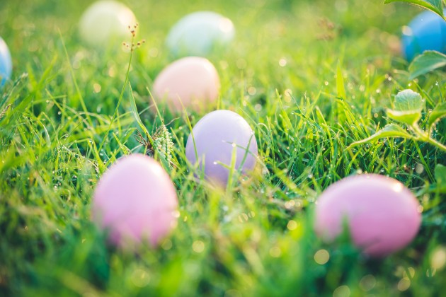 Easter eggs sitting in dew-covered grass.