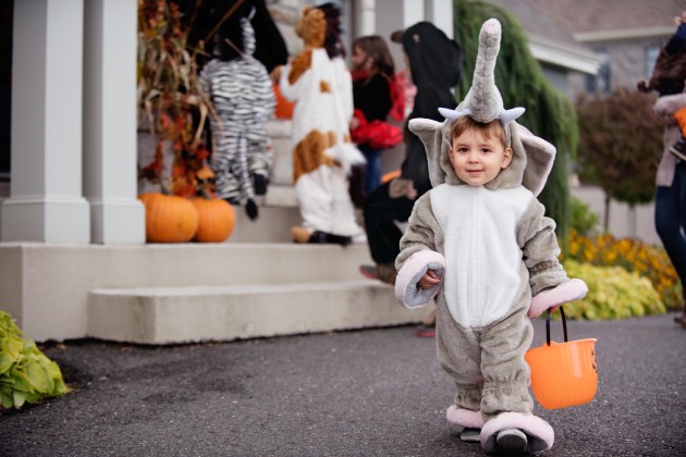 Cute little boy wearing an elephant costume on Halloween night.