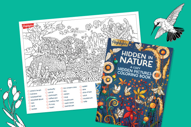 Hidden in Nature Coloring Book for Adults overlay blue background with hummingbird graphic