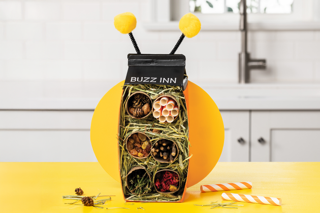 DIY bug hotel craft for kids 