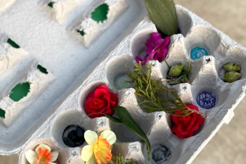 An egg carton holding flower buds, pine needles, leaves and other treasures.