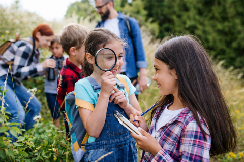 kids on nature hike learning in summer