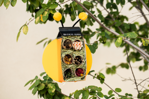 bug hotel craft hanging from tree